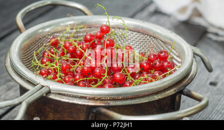 Red currant in a colander on a black wooden table Stock Photo