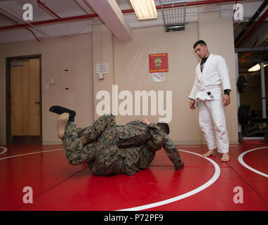 An Instructor observes U.S. Marines practice Brazilian Jujitsu grappling techniques during a Martial Arts Instructors Course (MAIC) at Yale Hall, Marine Corps Base Quantico, Va., May 11, 2017. The MAIC is a three week long course that puts applicants through rigorous training designed to instill teamwork and develop leadership abilities necessary for a Marine Corps Martial Arts Program instructor to teach classes. Stock Photo