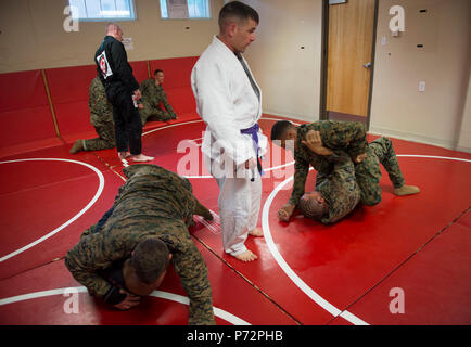 An Instructor observes U.S. Marines practice Brazilian Jujitsu grappling techniques during a Martial Arts Instructors Course (MAIC) at Yale Hall, Marine Corps Base Quantico, Va., May 11, 2017. The MAIC is a three week long course that puts applicants through rigorous training designed to instill teamwork and develop leadership abilities necessary for a Marine Corps Martial Arts Program instructor to teach classes. Stock Photo