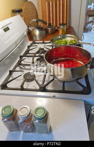Cooking a pot of red tomato sauce and a pan of green peppers on a gas stove with bottles of herbs and spices nearby