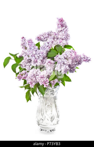 Bouquet of lilac lilacs in a crystal vase on a white background. Stock Photo