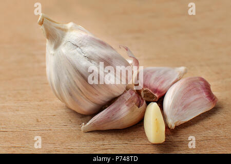 Garlic bulb, some of cloves separated, and one peeled, on old cutting board with many scratches. Stock Photo