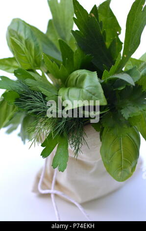 Close up of fresh culinary herbs and green leafy vegetables in a pouch with copy space. Background for nutrition, food, health, diet and weight loss. Stock Photo