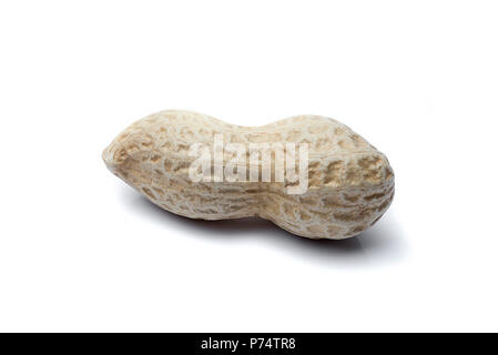 one peanuts isolated on white background in horizontal position. Stock Photo
