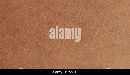 Cells on human skin close-up view. Human skin background Stock Photo