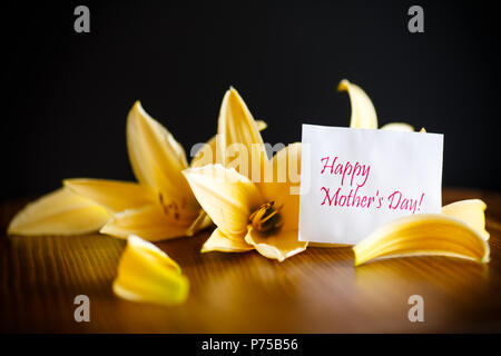 Yellow Lily flowers and buds on a black background Stock Photo