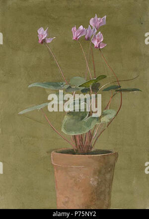 English: Pink Cyclamen, a watercolor painting . circa 1870s 179 Pink Cyclamen by Fidelia Bridges Stock Photo