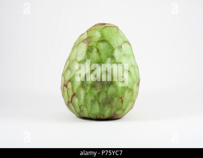 A Custard apple isolated on white background Stock Photo