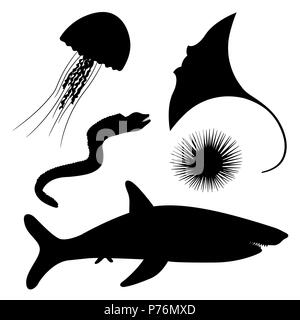 Dangerous marine life Stock Vector