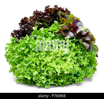 Delicious, fresh oak salad or salad mix. tricolor salad or mixed lettuce, isolated on white background. Stock Photo