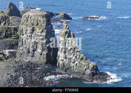 Spectacular basalt columns and sea cliffs near the RSPB’s West Light Seabird Centre are an ideal  nesting site for puffins (Fratercula arctica), guill Stock Photo