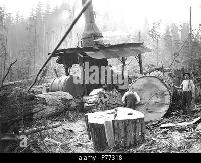 . English: Donkey engine with logging crew splitting wood, Ebey Logging Company, ca. 1917 . English: Caption on image: No. 5 PH Coll 516.1084 Ebey Logging Company was in business from ca. 1909 to ca. 1927, with operations in Arlington, Snohomish County. In 1927, it sold its logging railroad to Canyon Lumber Company. Arlington is twelve miles north of Everett at the junction of the North and South forks of the Stillaguamish River in northwest Snohomish County. Subjects (LCTGM): Steam donkeys--Washington (State); Loggers; Logs; Woodcutting--Washington (State); Fuelwood--Washington (State); Lumbe Stock Photo