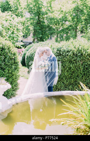 The newlywed couple is standing under the veil behind the fountain. Stock Photo