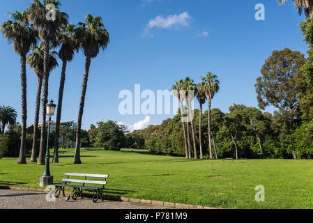 Capodimonte Park, hilltop Bourbon royal park now public park, Naples, Italy Stock Photo