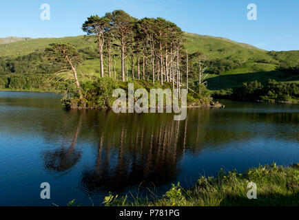 Eilean na Moine island, Loch Eilt, Lochaber, Scotland. This small island was used as a location in the Harry Potter the Chamber of Secrets. Stock Photo