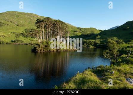 Eilean na Moine island, Loch Eilt, Lochaber, Scotland. This small island was used as a location in the Harry Potter the Chamber of Secrets. Stock Photo