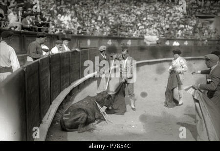 10 Becerrada benéfica para niños acogidos organizada por la sociedad Euskal Billera en la plaza de 'El Txofre' (14 de 20) - Fondo Car-Kutxa Fototeka Stock Photo