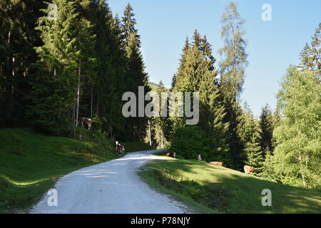 Hohe Tauern bei Niedernsill Salzachtal Kitzsteinhorn Stock Photo