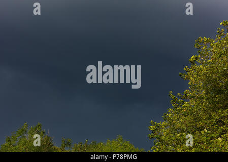 Illuminated trees with a grey sky behind Stock Photo