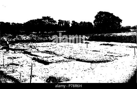 English: Foundation of the Romano-British Church at Silchester from the West. Opposite p.12 in The Saxon Cathedral at Canterbury and The Saxon Saints Buried Therein . circa 1929 2 Foundation of the Romano-British Church at Silchester from the West Stock Photo