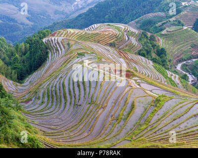 Colorful Dragon's Backbone rice terraces in Longsheng, Yunnan, China Stock Photo