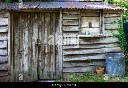 Old garden potting shed with ivy, Worcestershire, England 