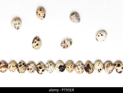 Quail eggs in a row on a white background Stock Photo