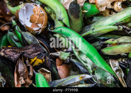 Bright colours in a compost heap, showing bright green beans, eggs shells, and banana peels Stock Photo