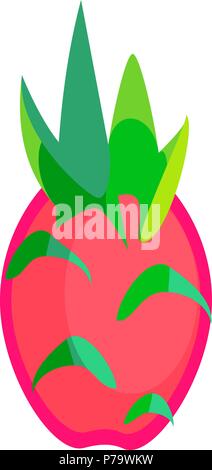 Dragon fruit or pitaya fruit vector in flat design style isolated Stock Vector