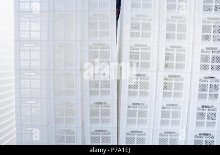 Plastic white boxes. Containers for transportation of food products. Stock Photo