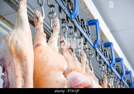 ham meat processing plant factory Hams smoked smoking oven prepare ...