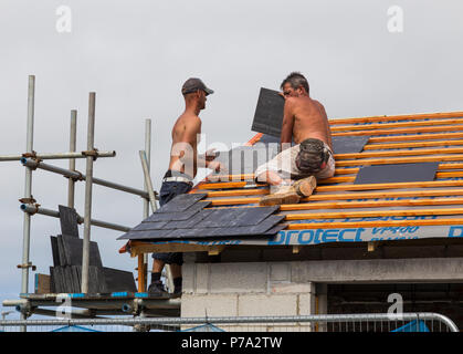 Roof Tilers Stock Photo