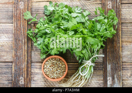 Fresh green cilantro, coriander leaves and dry seeds on wooden surface. Selective focus