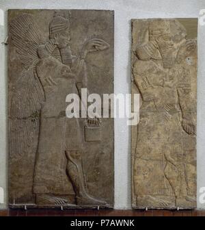 Assyrian Winged Genie Assyrian Relief From The Northwest Palace Of