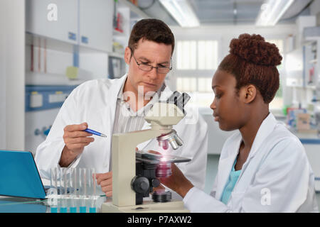 Scientists, senior Caucasian male and young African female, work with a microscope in research laboratory. Shallow DOF, focus on the face of the man. Stock Photo