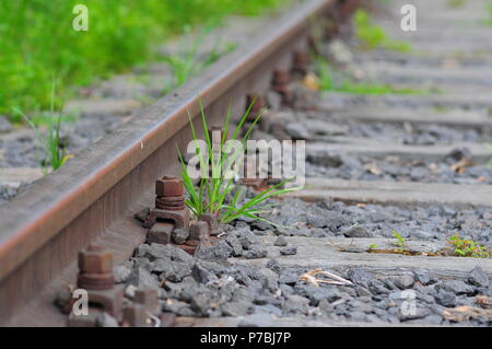 old rusted screw. rusty railroad.aged metal. Stock Photo