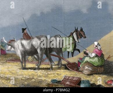 Agriculture. Threshing with threshing board. Engraving by R. Milliet. 19th century. Colored. Stock Photo