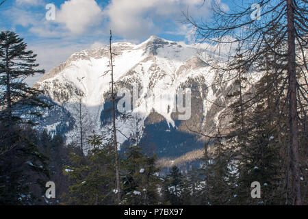 realy winter in Achenkirch Stock Photo - Alamy