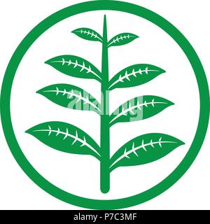 label madecine drug icon vector tempate Stock Vector