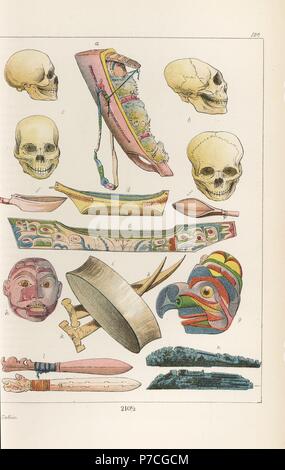 Chinook cradleboard to flatten a child's head a, flattened skulls b ...