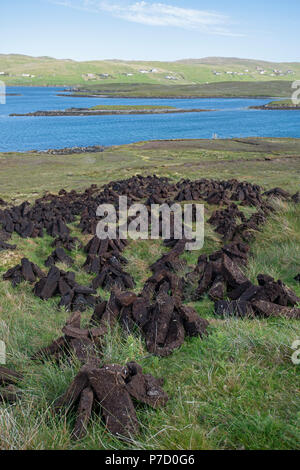 Freshly dug peat stacked to dry. Shetland, UK. Stock Photo