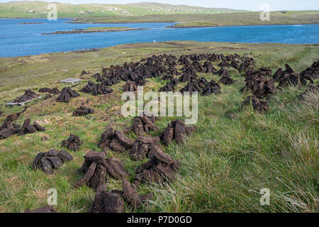 Freshly dug peat stacked to dry. Shetland, UK. Stock Photo