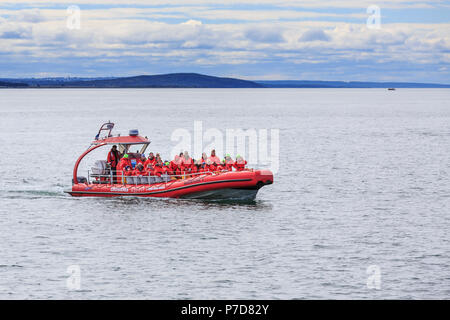 Whale watching tourists on the St. Lawrence River, Tadoussac, Québec Province, Canada Stock Photo