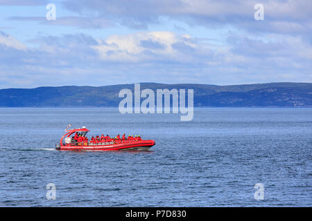 Whale watching tourists on the St. Lawrence River, Tadoussac, Québec Province, Canada Stock Photo