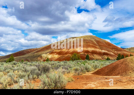 Sedimentary hill in Painted Hills desert, John day Fossil Beds National Monument, Central Oregon, USA. Stock Photo