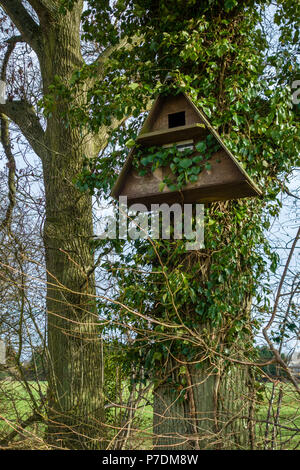 Barn Owl bird nesting box fixed to a tree trunk in a rural location Stock Photo