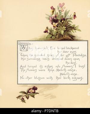 Heartsease, Viola tricolor, with calligraphic poem in box. Chromolithograph by Louis Prang from Alice Ward Bailey's Flower Fancies, Boston, 1889. Illustrated by Lucy Baily, Eleanor Ecob Morse, Olive Whitney, Ellen Fisher, Fidelia Bridges, C. Ryan and F. Schuyler Mathews. Stock Photo