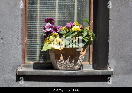 Basket with violets and artificial bouquet of tulips, chrysanthemums, lilies of the valley and buttercups, decorate the entrance to restaurant Stock Photo