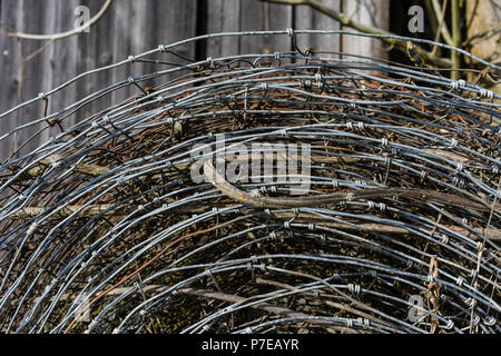 pile or roll of old rusty and new barbed wire Stock Photo