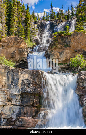 Tangle Falls in Jasper National Park, Alberta, Canada, along the Columbia Icefields Parkway. Stock Photo